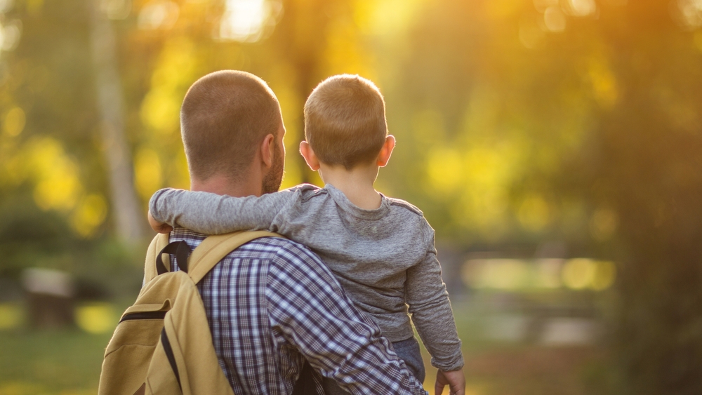 What Is a Family Report in Family Law?