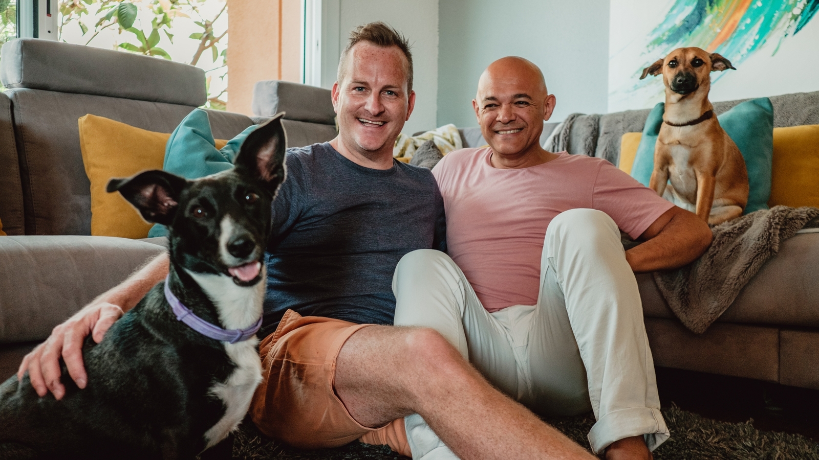 Pet Custody When Separating: 10 Questions to Help You Decide Who Gets the Dog