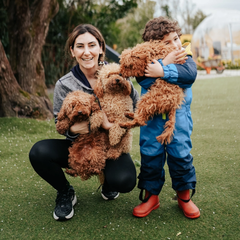 Who Gets the Dog in a Divorce?
