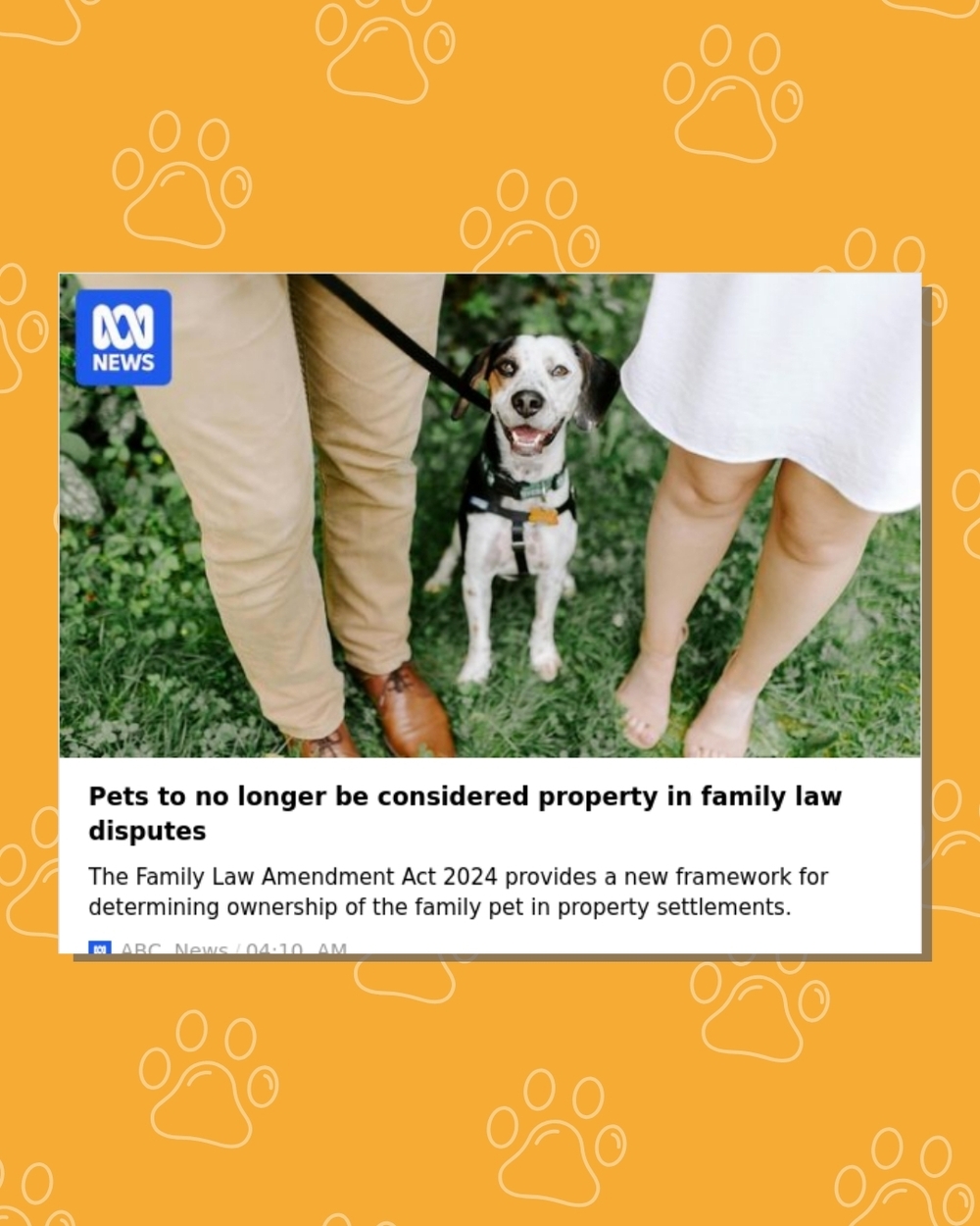 Pets Recognised Beyond Ownership in Family Law | Eve Smith Featured on ABC News