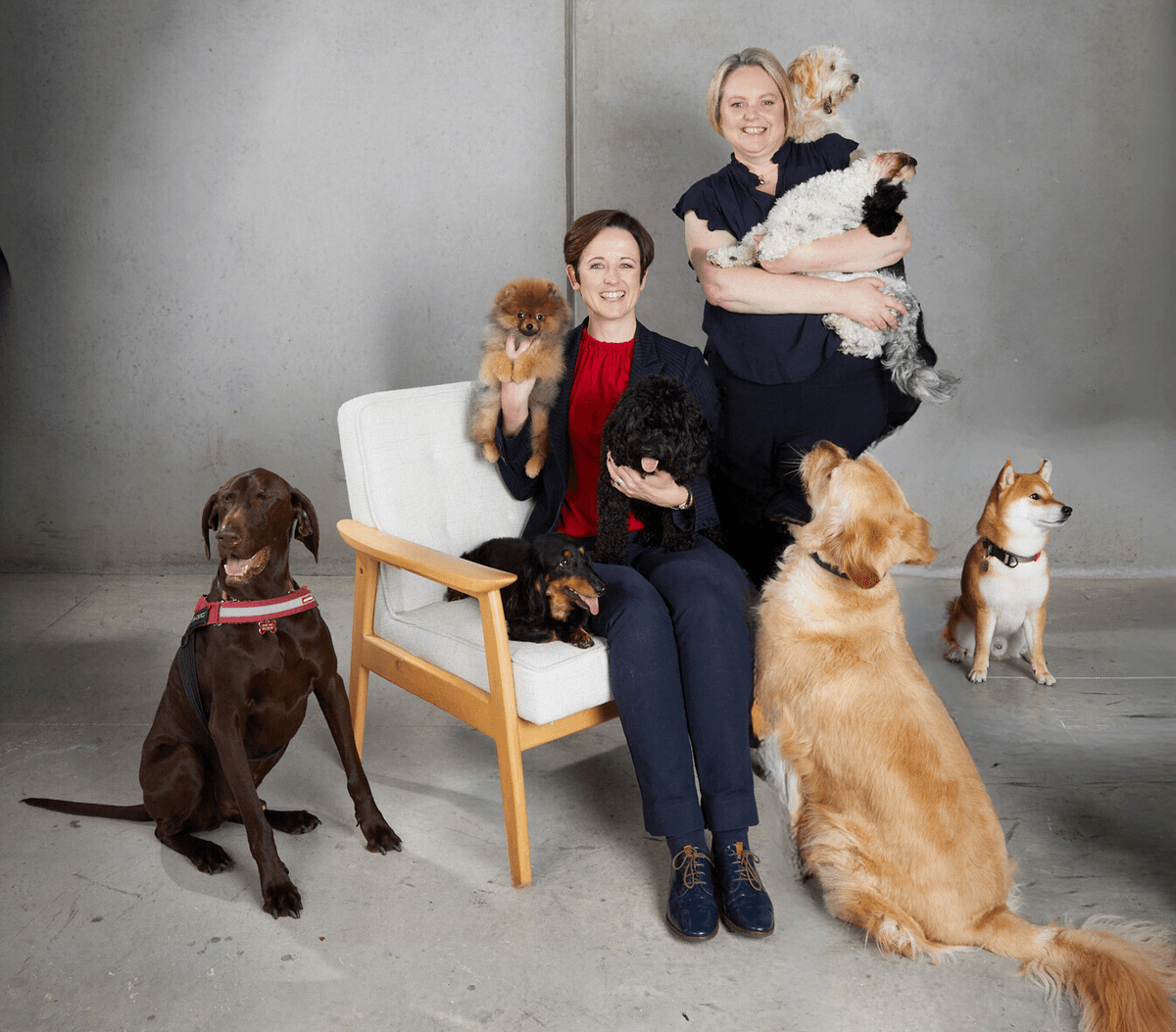 Umbrella Family Law