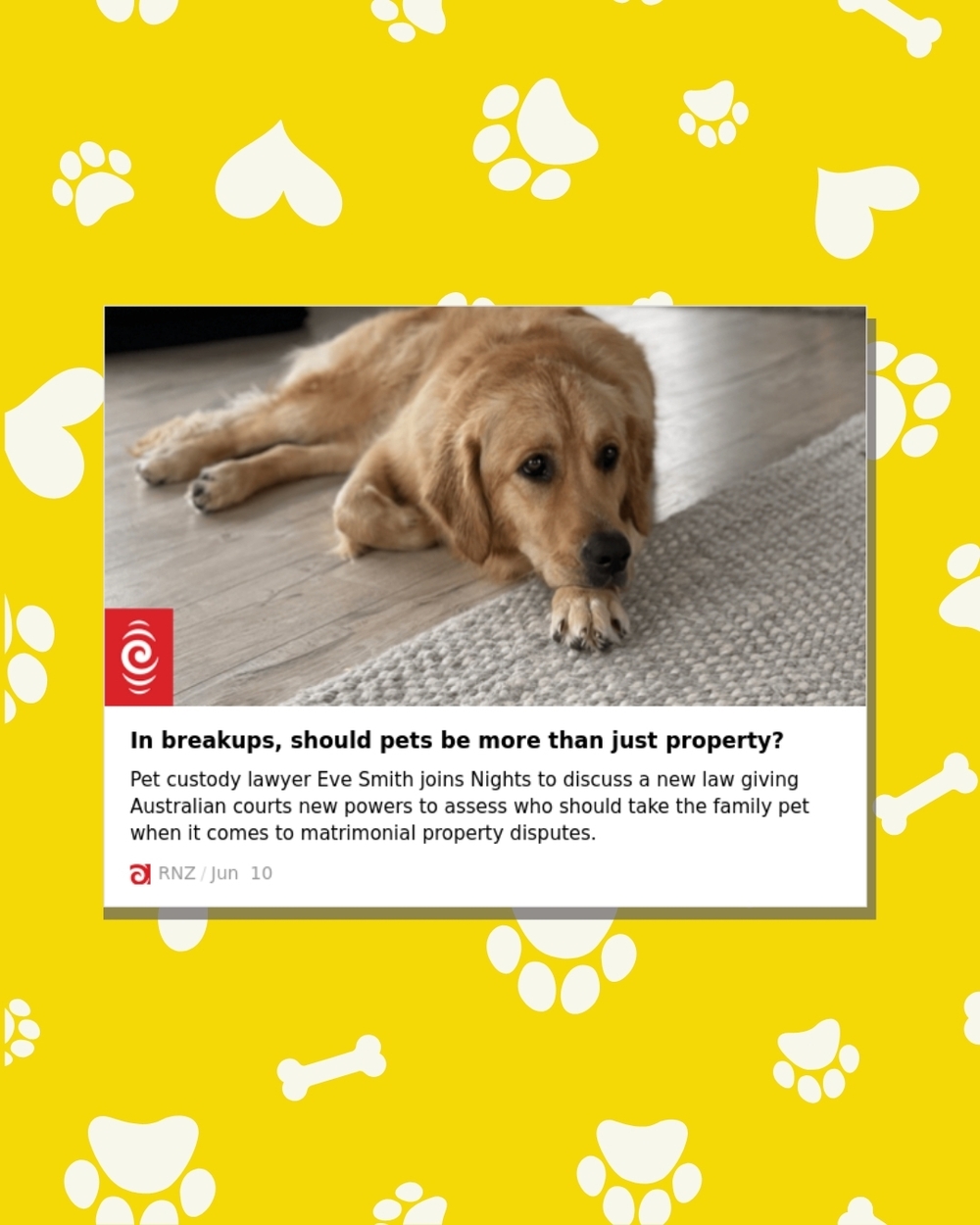 Beyond Ownership: Eve Smith Discusses Pet Welfare in Family Law on RNZ