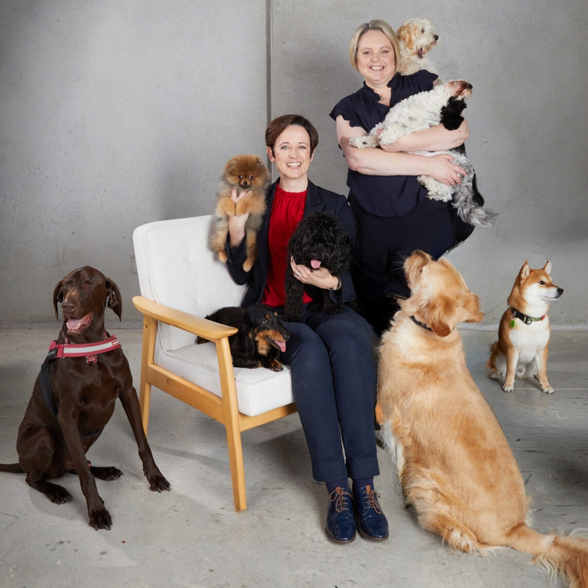 What is Pet Custody?