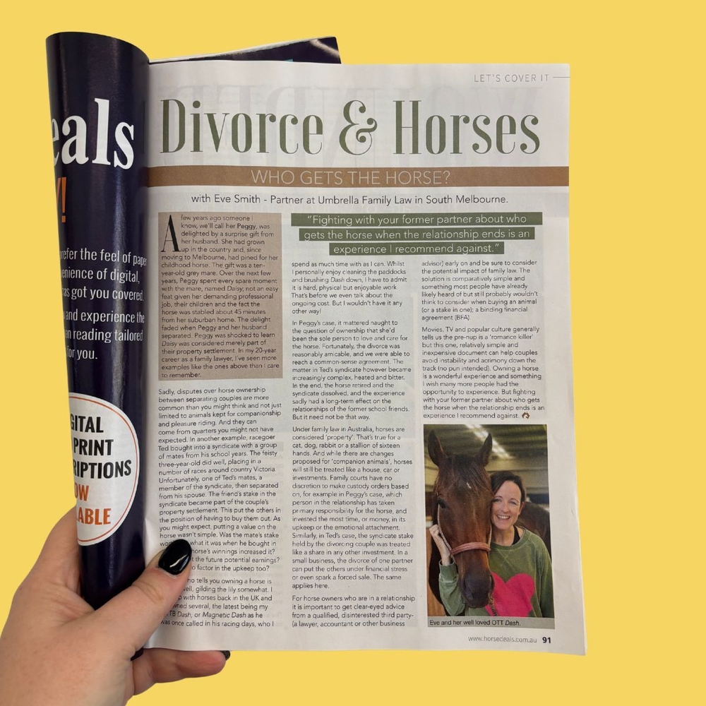 Horse Custody After Separation