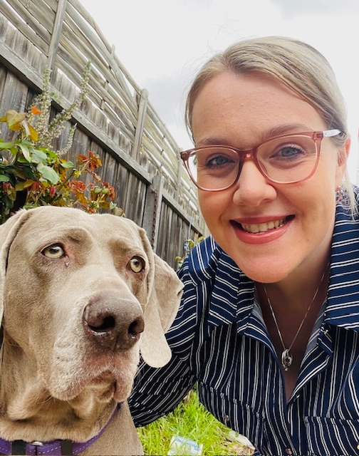 How new laws could cater for disputes over pets