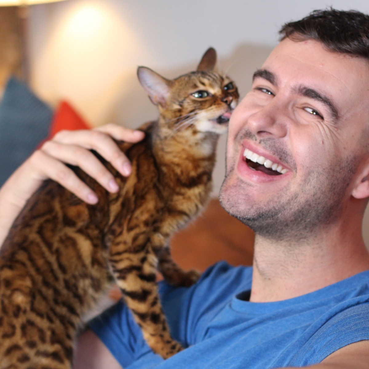 Why Choose us for Your Pet Custody Needs?