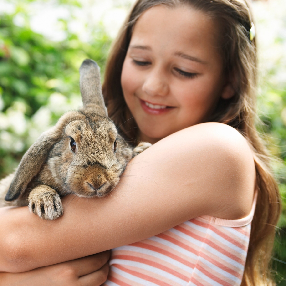 How We Help with Pet Custody in Separation and Divorce