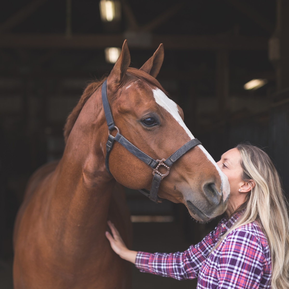 How We Help with Pet Custody in Separation and Divorce